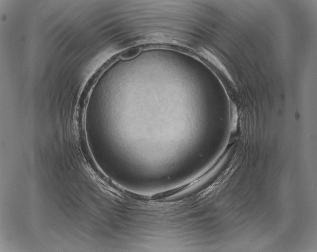 X0000067831068200604131155