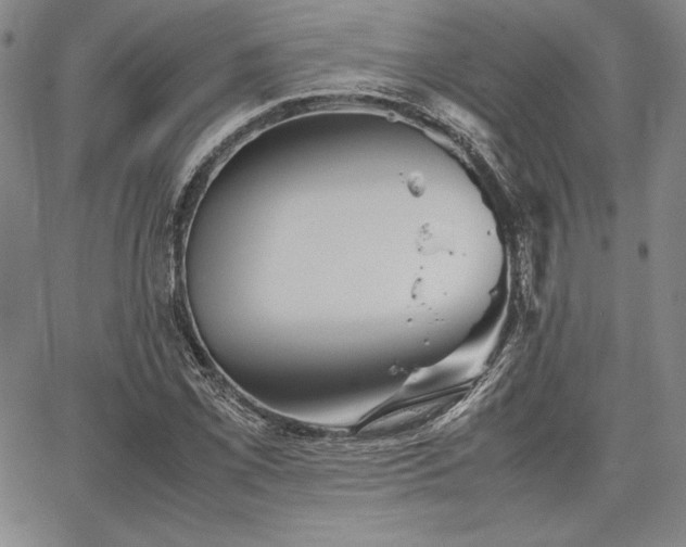 X0000067831069200604131155