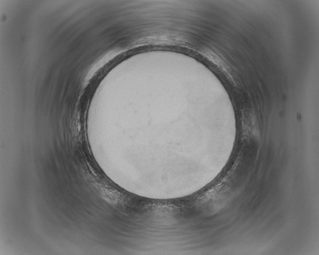 X0000067831070200604131155