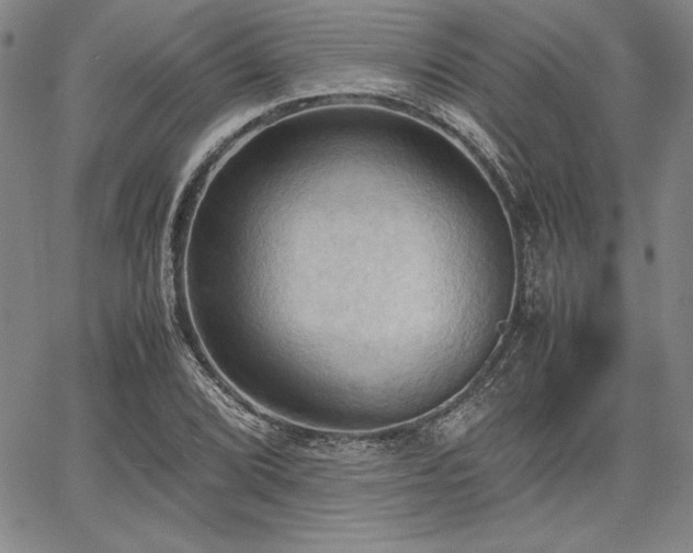 X0000067831072200604131155