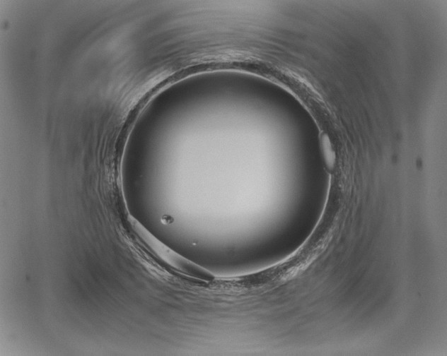 X0000067831073200604131155