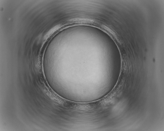 X0000067831074200604131155