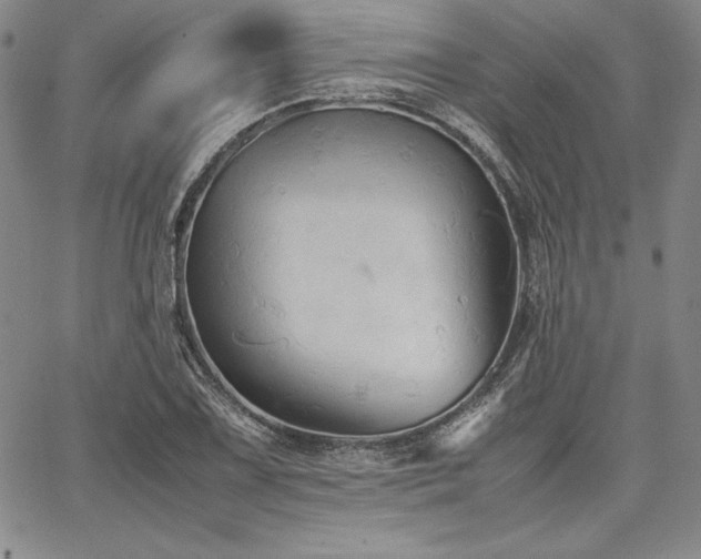 X0000067831075200604131155