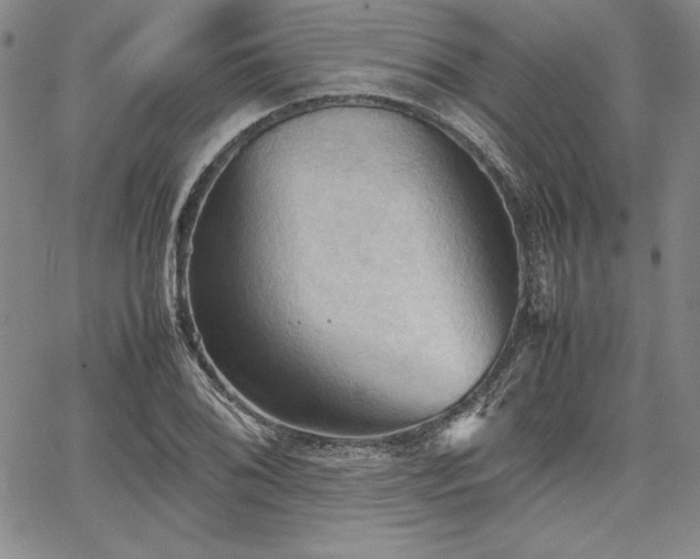 X0000067831076200604131155