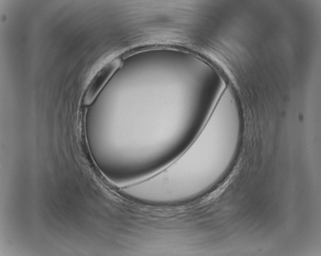 X0000067831077200604131155