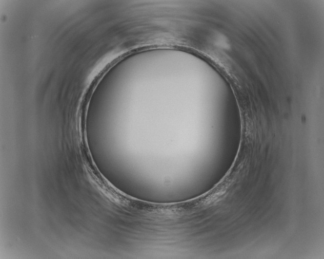 X0000067831078200604131155