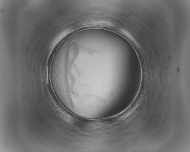 X0000067831079200604131155