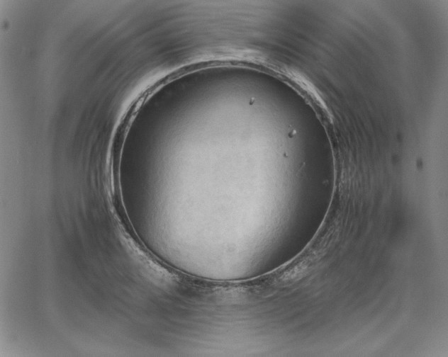 X0000067831080200604131155