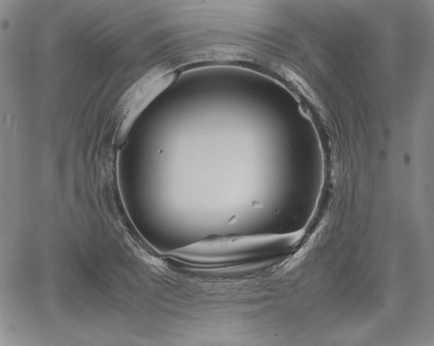 X0000067831081200604131155