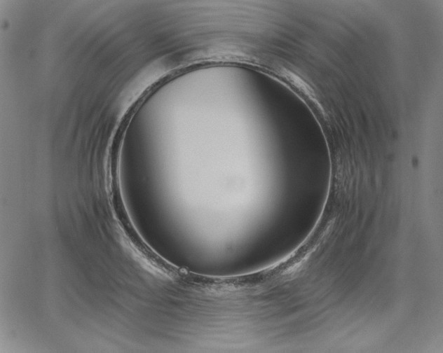 X0000067831082200604131155