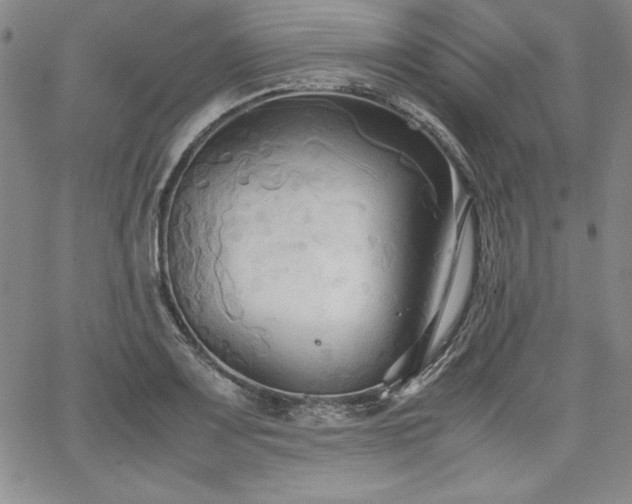 X0000067831083200604131155