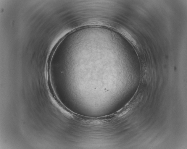 X0000067831084200604131155