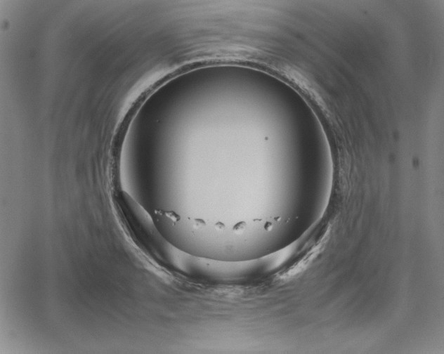 X0000067831085200604131155