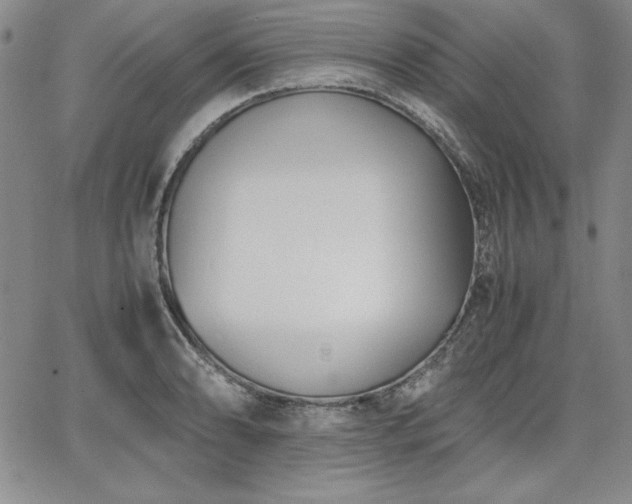 X0000067831086200604131155