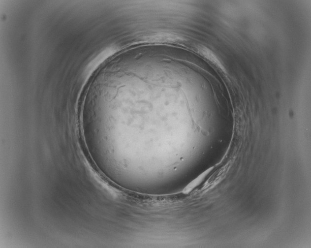 X0000067831087200604131155