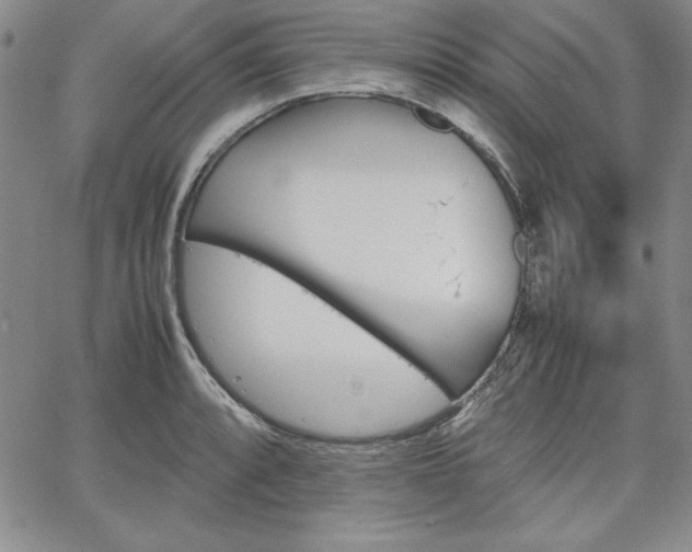 X0000067831088200604131155