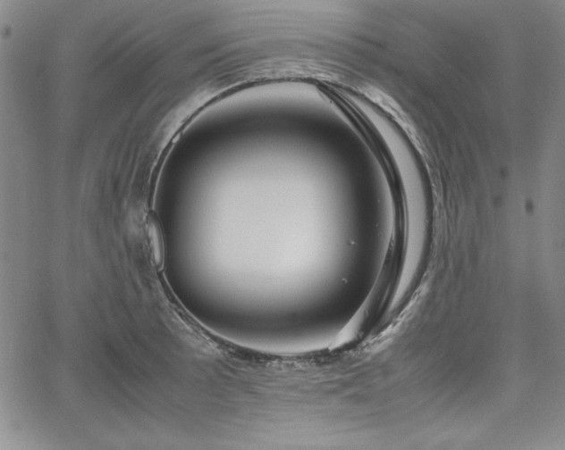 X0000067831089200604131155