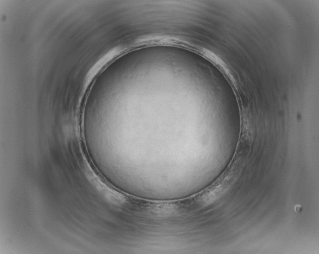 X0000067831090200604131155