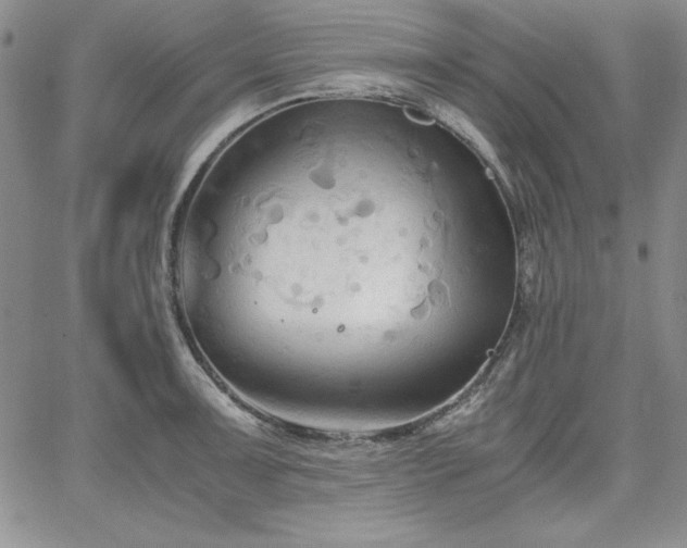 X0000067831091200604131155