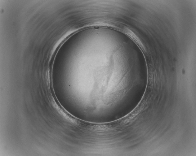 X0000067831092200604131155