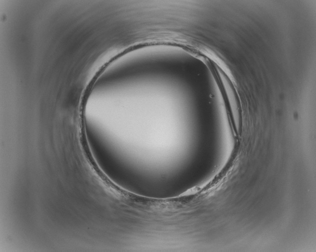 X0000067831093200604131155