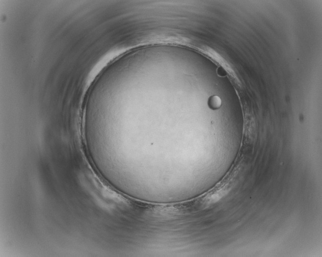 X0000067831094200604131155