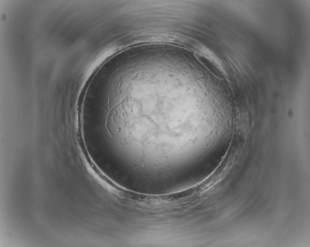 X0000067831095200604131155