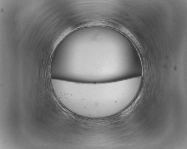 X0000067831097200604131155