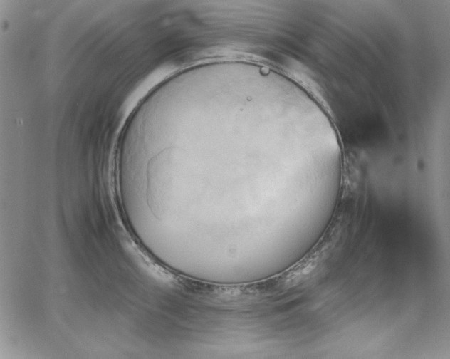 X0000067831098200604131155