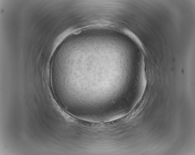 X0000067831099200604131155