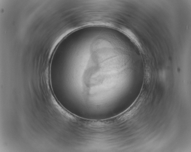 X0000067831100200604131155