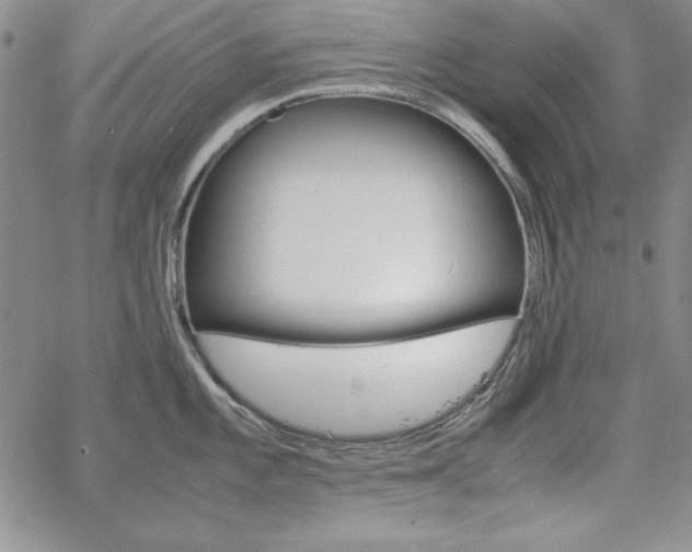 X0000067831101200604131155