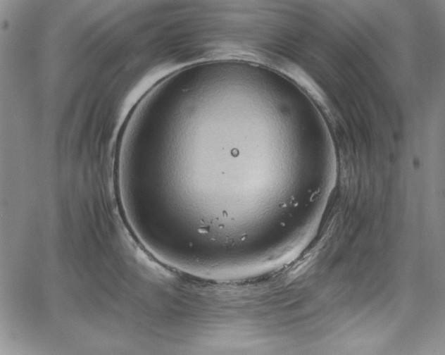 X0000067831102200604131155