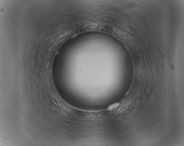 X0000067831105200604131154