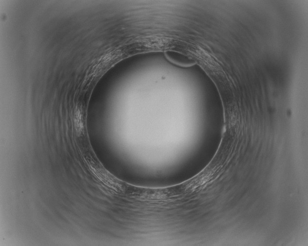 X0000067831106200604131154