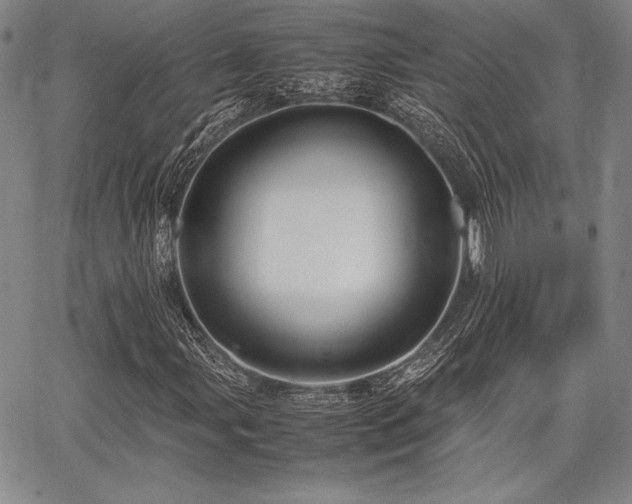 X0000067831107200604131154