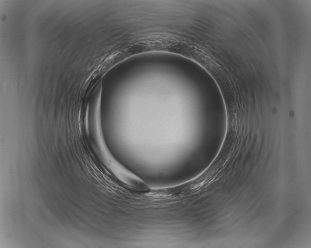 X0000067831108200604131154