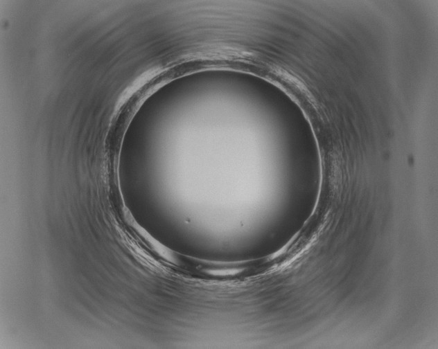 X0000067831114200604131154