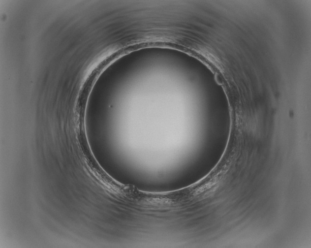 X0000067831119200604131154