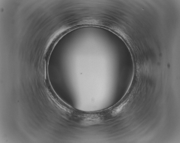 X0000067831123200604131154