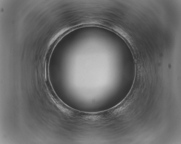 X0000067831127200604131154