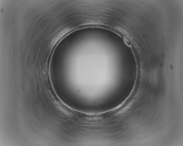 X0000067831129200604131154