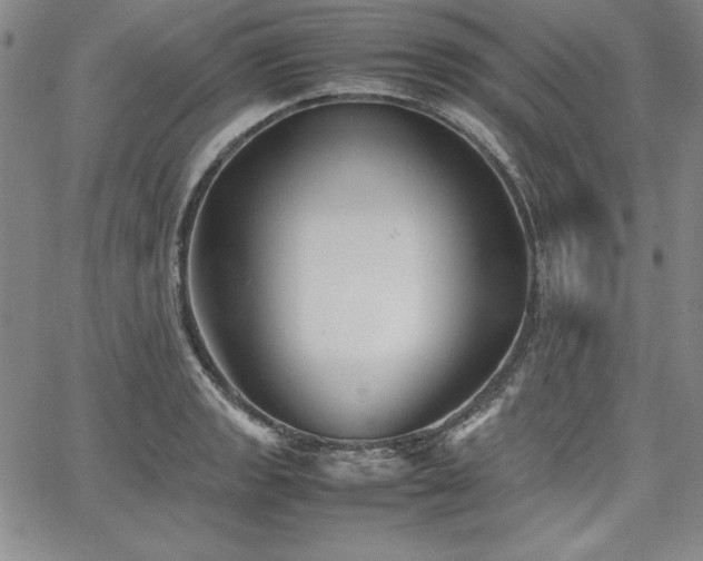 X0000067831133200604131154