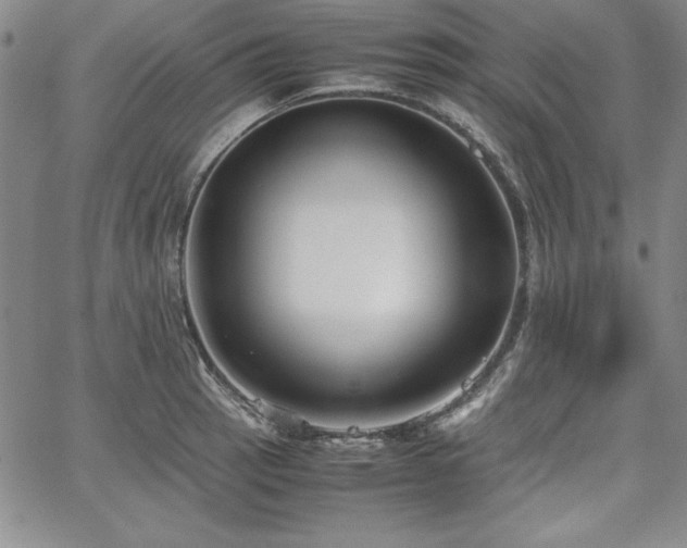 X0000067831137200604131154