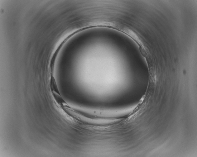 X0000067831140200604131154