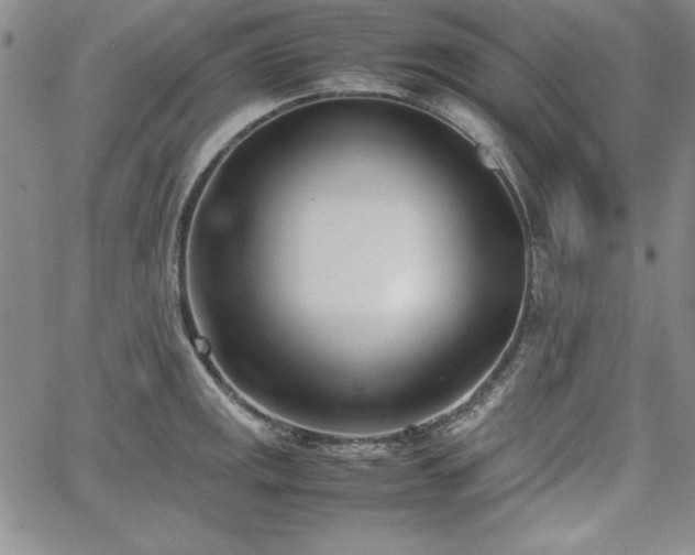 X0000067831141200604131154