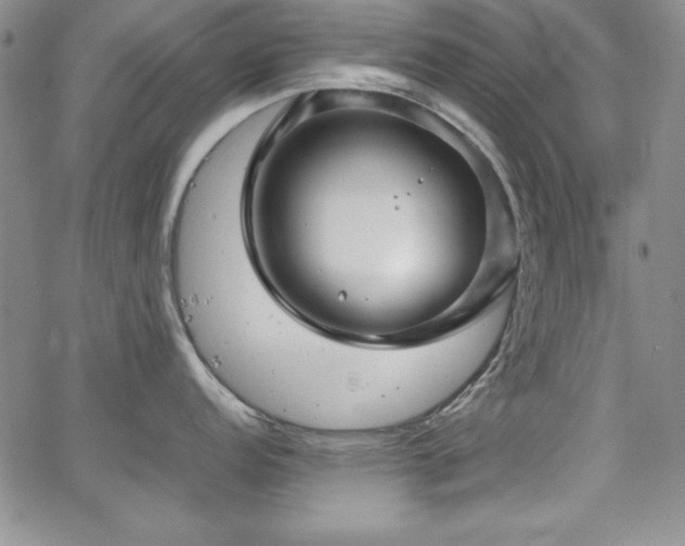 X0000067831152200604131154
