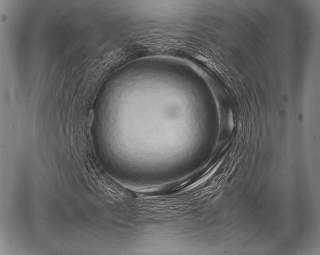 X0000067831153200604131154