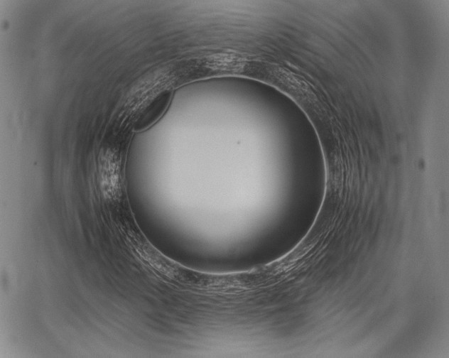 X0000067831154200604131154