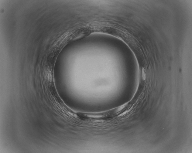 X0000067831155200604131154